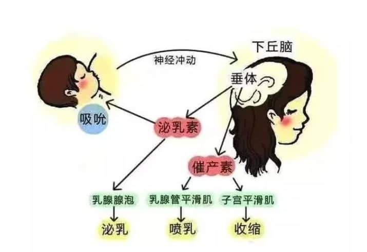 供精試管嬰兒費用明細，看完心里有數